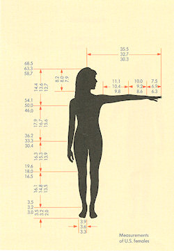 Measurements of U.S. Females