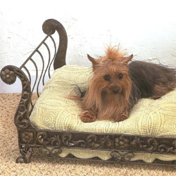 Pet Furniture - Pet Beds - Pet Feeders