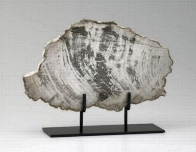 Cyan Design Large Petrified Wood on Stand 