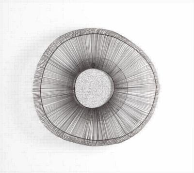 Cyan Design Medium Pardo Wall Decor Graphite Finish