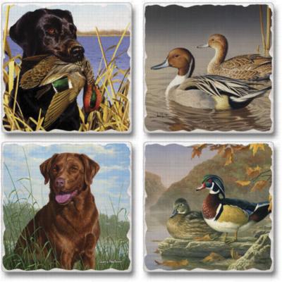 Highland Graphics Majestic Wetlands Coaster Set 
