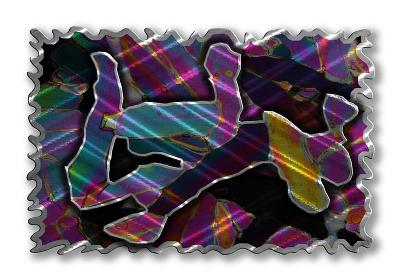 All My Walls Metamorphosis Blu, Grn, Violet, Yellow, Pnk, Orange, Silver, Blk