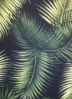 Big Kahuna Mana Black