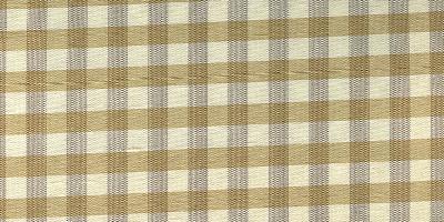 Catania Silks Gingham Checks Gold Cream