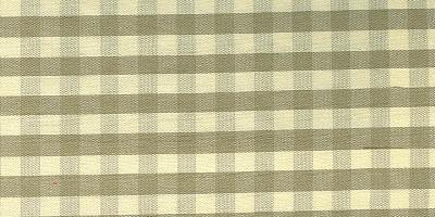 Catania Silks Gingham Checks Sage Cream