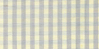 Catania Silks Gingham Checks Slate Cream