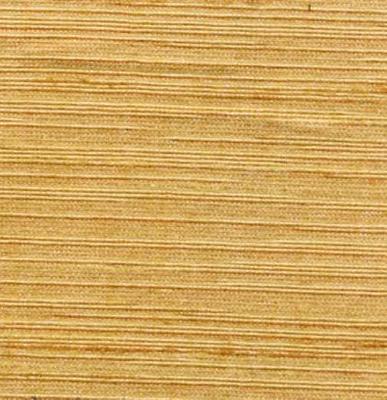 Fabrics in Fashion Bangalore 1914