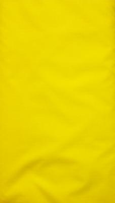 Foust Textiles Inc 128 Rip Stop Yellow