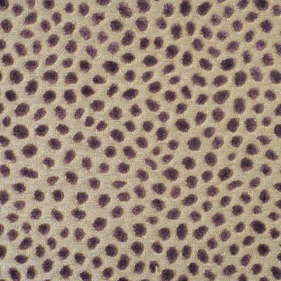 G P  and J  Baker PF50064 590