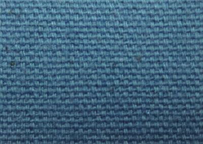 James Thompson Duck Canvas Denim Blue