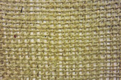 James Thompson Bengal Burlap Natural