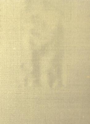 Libas International 214C 149 Surat