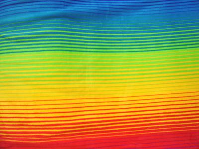 Marshall Dry Goods Rainbow Fleece Fiesta Stripe