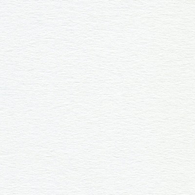 Phifer Sheerweave 7250R Light Filtering RL1 Swan