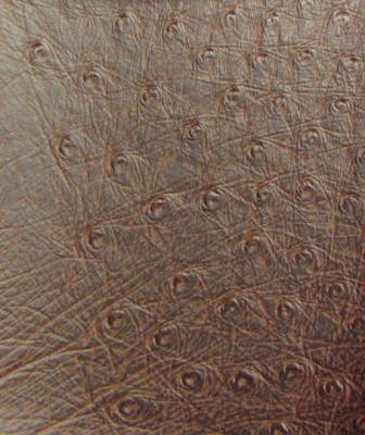 Plastex International Inc Ostrich   Brown