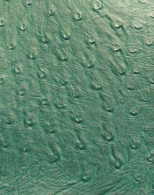 Plastex International Inc Ostrich   Green