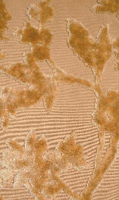 RM Coco Carolina Brandy