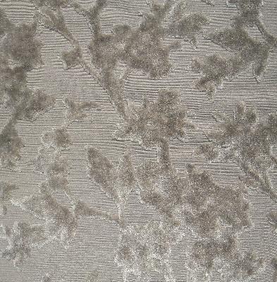 RM Coco Carolina Steel