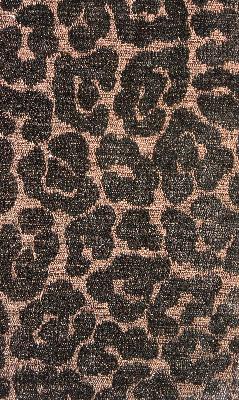 RM Coco Rhode Island Java