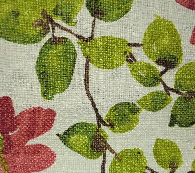 RM Coco Wind Raspberry