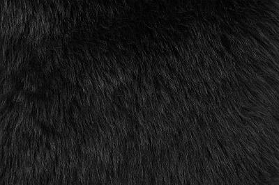 Shannon Fabrics Promo Shag  Black Fun Faux Fur Colors
