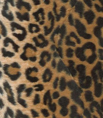 Shannon Fabrics Soft Fur Leopard  Gold