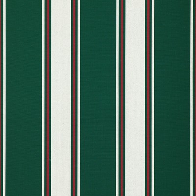 Sunbrella Sunbrella Awning Forest Green Fancy