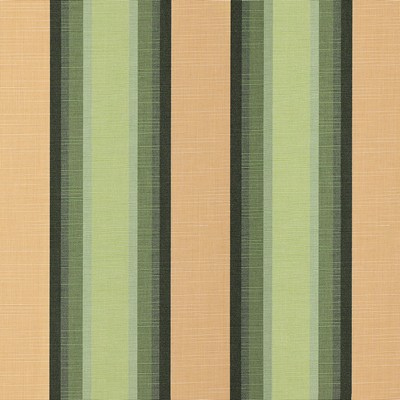 Sunbrella Sunbrella Awning Colonnade Juniper Stripe 