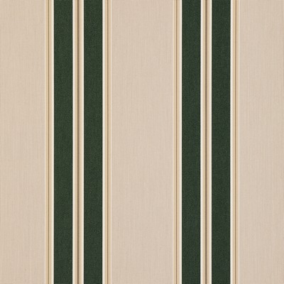 Sunbrella Sunbrella Awning Black Forest Fancy