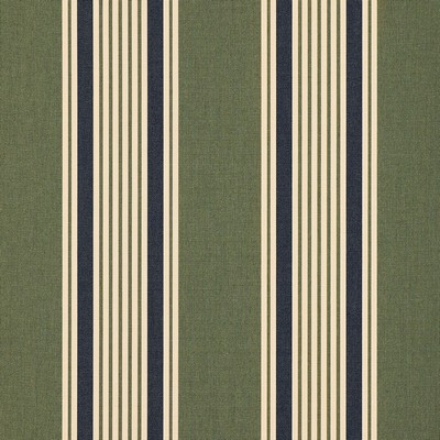 Sunbrella Sunbrella Awning Ashford Forest 