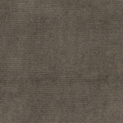 American Silk Mills Brussels Taupe 3731