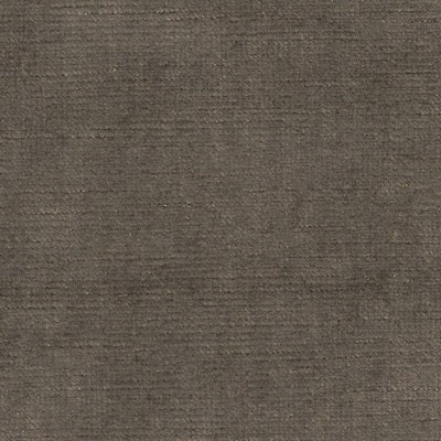 American Silk Mills Brussels Taupe 3731