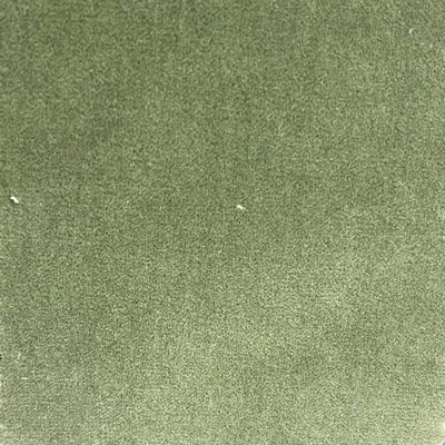 American Silk Mills Giorgio Botanical