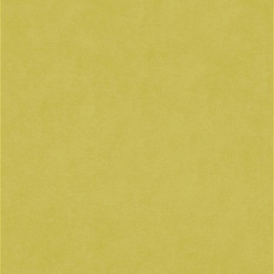 Barrow Counterpoint 11205_M9989 Lichen