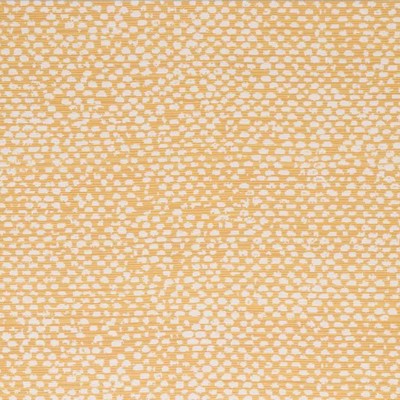 Bella Dura Home Conga Goldenrod