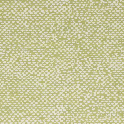 Bella Dura Home Conga Lime