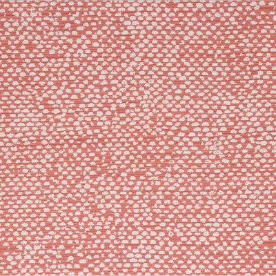 Bella Dura Home Conga Terracotta