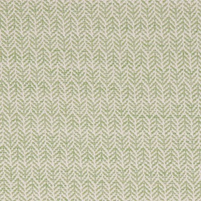 Bella Dura Home Festoon Lime