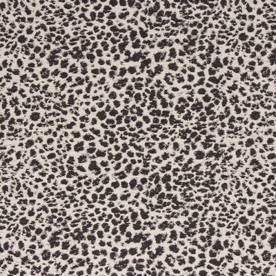 Bella Dura Home Animal Magnetism Onyx