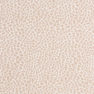 Bella Dura Home Mozam Bluff