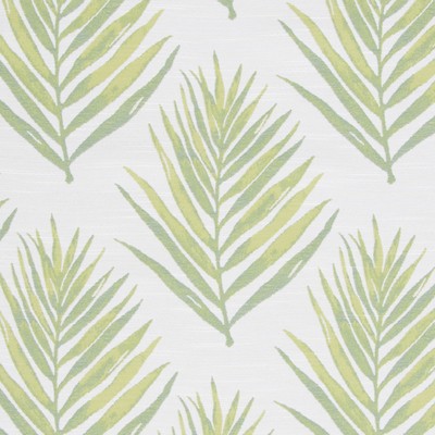 Bella Dura Home Royal Palm Lime