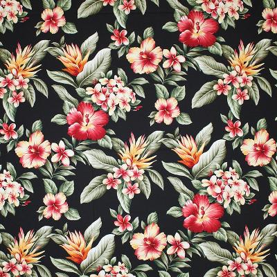 Big Kahuna Olelo Black