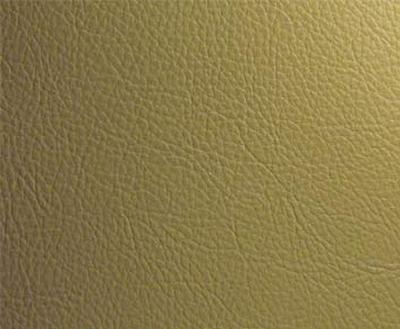 Burch Classic Celery