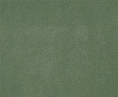 Burch Persuasion Avocado