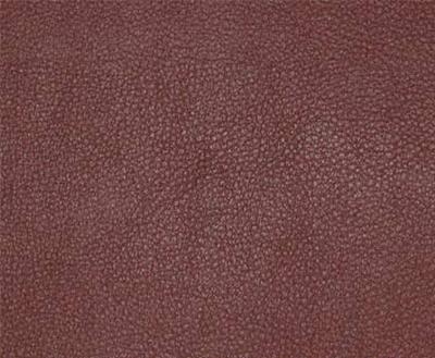 Burch Persuasion Beet