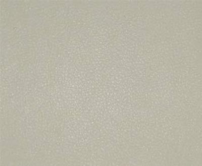 Burch Persuasion Chiffon