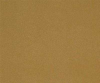 Burch Persuasion Maize