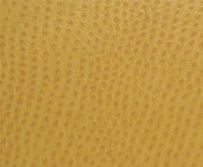 Burch Phoenix Biscotti