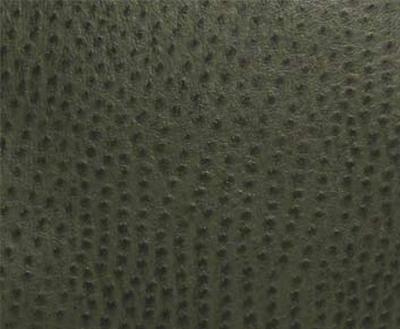 Burch Phoenix Black Forest