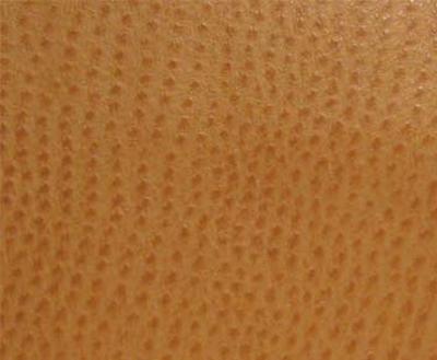 Burch Phoenix Chutney